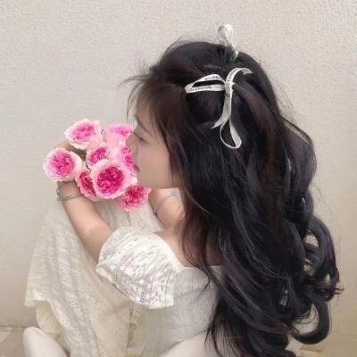 巴赫曼：沙漠之旅